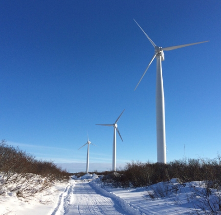 Cold Climate Version for distributed generation