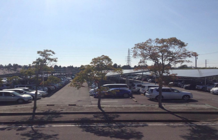 Factory Parking Lot Solar Panels