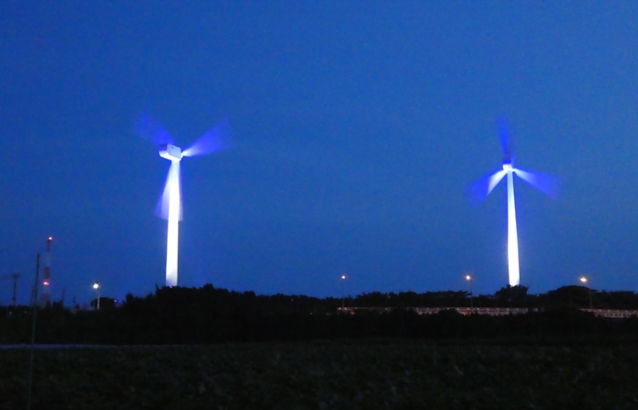 Illumination in Miura City, Kanagawa Prefecture